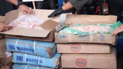 Polda Kepri Ungkap Penyelundupan 80 Ton Daging Ilegal dan Barang Bekas dari Singapura di Karimun