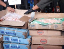 Polda Kepri Ungkap Penyelundupan 80 Ton Daging Ilegal dan Barang Bekas dari Singapura di Karimun