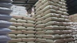 Gudang Beras Harum di Batu Ampar Disorot, Pemerintah Diminta Periksa Legalitas dan Distribusinya