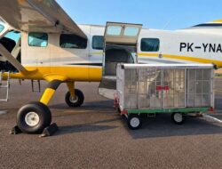 Satu Pesawat Cessna Dikerahkan untuk OMC di Batam